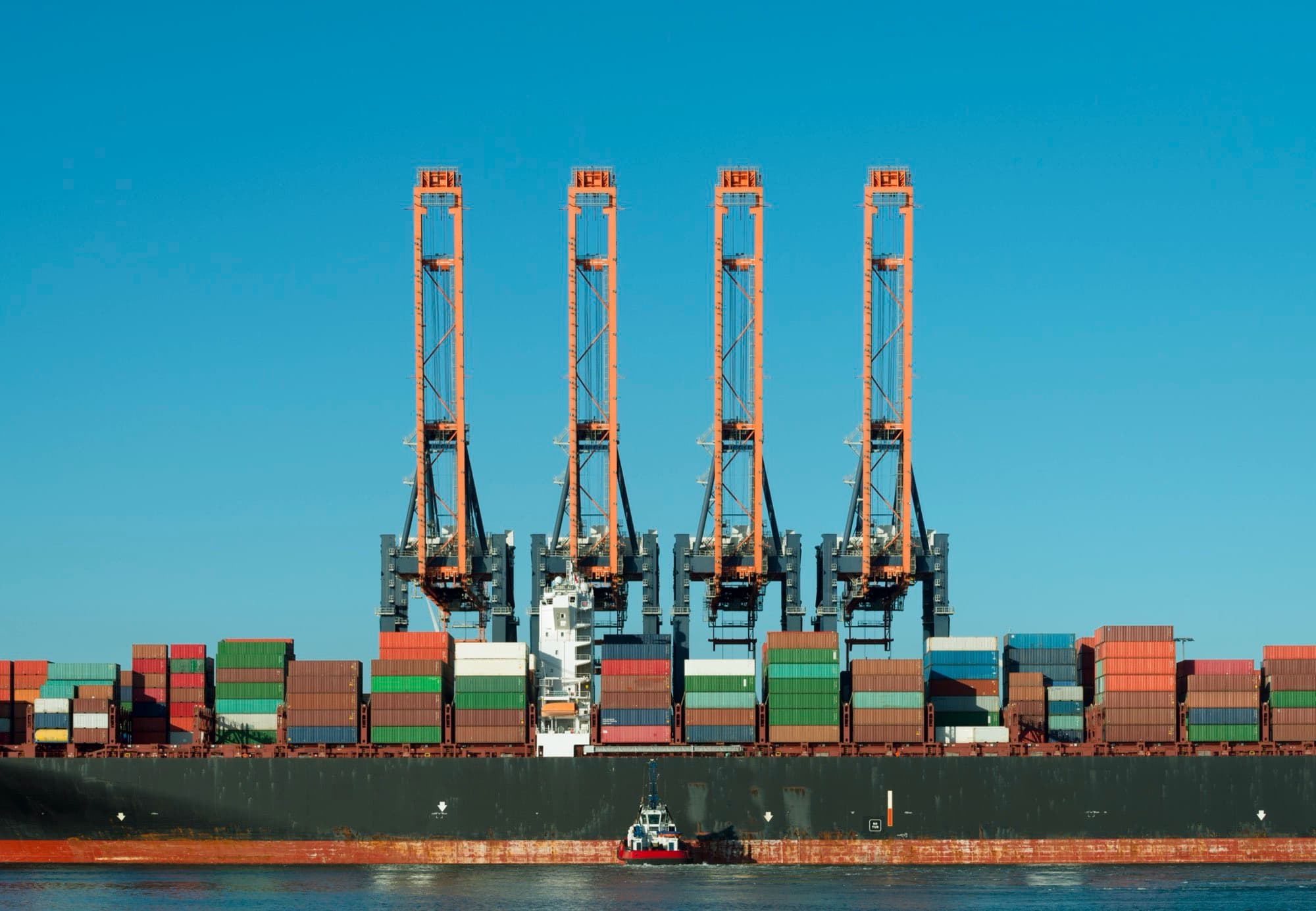 Terminal à conteneurs de Maasvlakte, Rotterdam : la complexité d'un écosystème logistique mondial